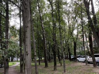 2-комн. квартира, 42.4 м², 4/5 этаж