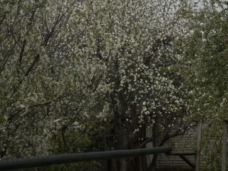  дом, 71.6 м², 7.8 соток