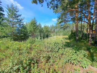 2-этажный дом, 40 м², 20 соток