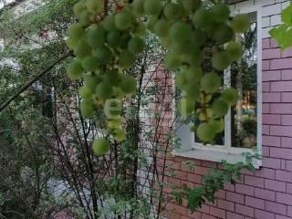 1-этажный дом, 62.1 м², 11.6 соток