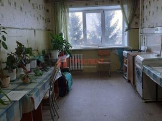 Комната, 272.7 м²