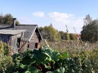 1-этажный дом, 36 м², 29 соток