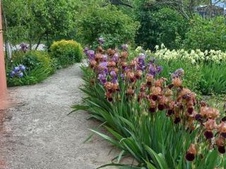 1-этажный дом, 56.4 м², 8.5 соток