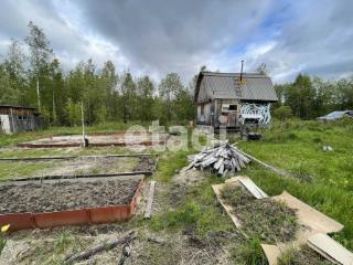 1-этажный дом, 25 м², 10.2 соток