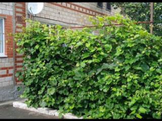 1-этажный дом, 90 м², 12 соток