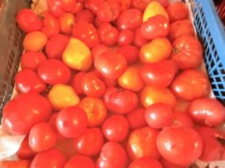 1-этажный дом, 147 м², 31 сотка