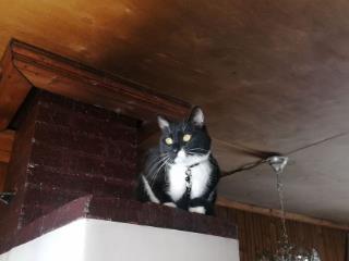  коттедж, 40 м², 6 соток