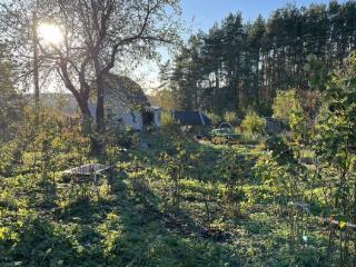  коттедж, 20 м², 11.8 соток