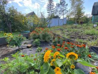 1-этажный дом, 30 м², 5.9 соток