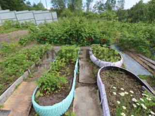 1-этажный дом, 55 м², 20 соток