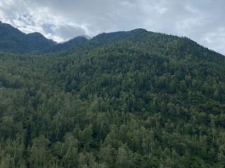 1-этажный дом, 80 м², 25 соток