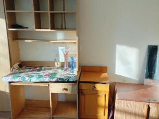 Комната, 110 м²