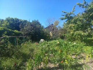 1-этажный дом, 95.1 м², 9.9 соток