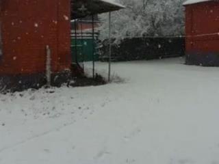  дом, 88 м², 25 соток