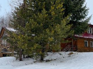  дом, 176 м², 25 соток