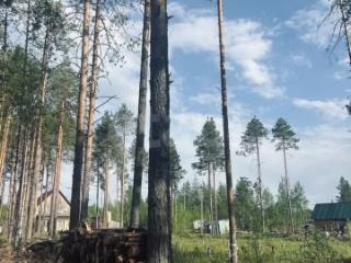 1-этажный дом, 50 м², 13.13 соток