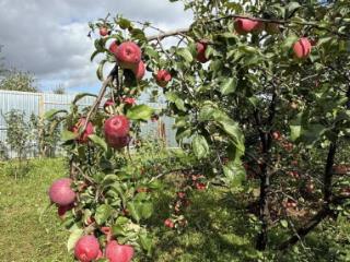 2-этажный дом, 183 м², 20 соток