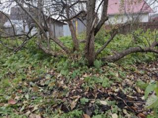 1-этажный дом, 39.8 м², 15 соток