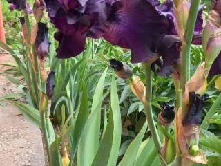 1-этажный дом, 56.4 м², 8.5 соток