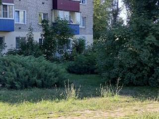 2-комн. квартира, 42.7 м², 2/4 этаж