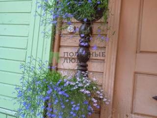 1-этажный дом, 60 м², 10 соток