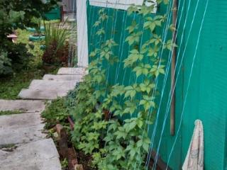  коттедж, 32 м², 18.9 соток