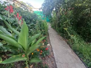 1-этажный дом, 95.1 м², 9.94 соток