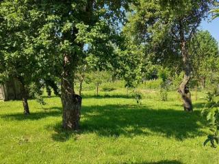  дом, 54 м², 25 соток