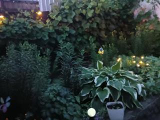 1-этажный дом, 72.9 м², 3.5 сотки