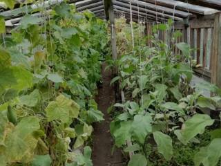  коттедж, 20 м², 6.3 соток