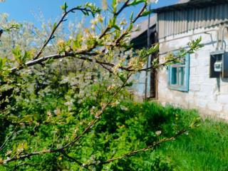 1-этажный дом, 40 м², 12.5 соток