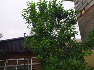 2-этажный дом, 97.7 м², 3.6 сотки