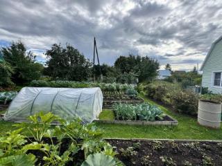 1-этажный дом, 26 м², 8 соток