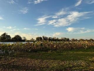 2-этажный дом, 302.5 м², 10 соток