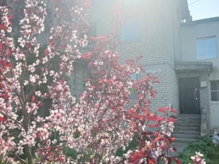 2-этажный коттедж, 67 м², 2.1 сотки