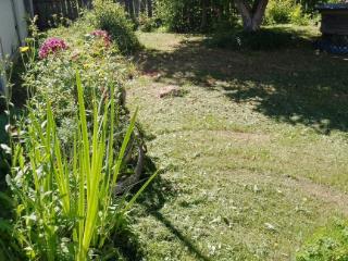  дом, 60 м², 50 соток