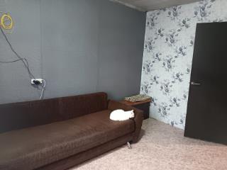 1-этажный дом, 40.3 м², 5 соток