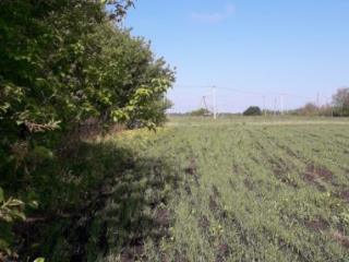 1-этажный дом, 52 м², 50 соток