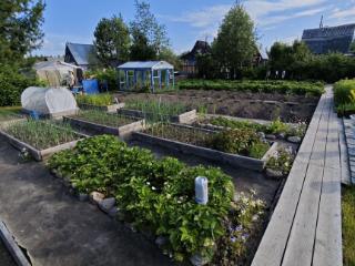  коттедж, 15 м², 6 соток