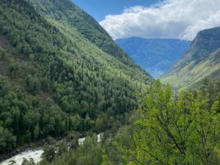 1-этажный дом, 80 м², 25 соток