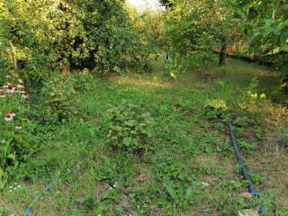 1-этажный дом, 19.5 м², 10 соток