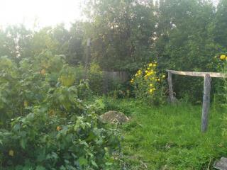  дом, 78.2 м², 12 соток