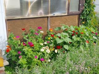  дом, 101 м², 5 соток