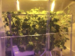 2-этажный дом, 229.8 м², 6.6 соток