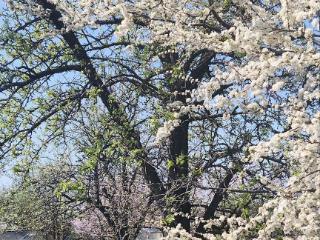  коттедж, 42 м², 4 сотки