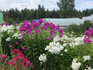  дом, 42.3 м², 10 соток