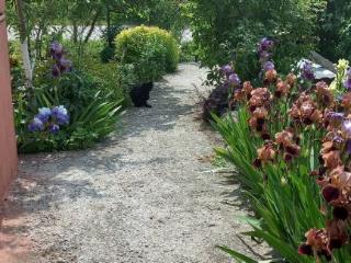 1-этажный дом, 56.4 м², 8.5 соток