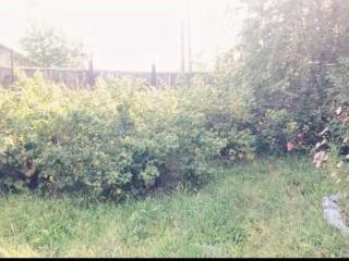  дом, 206 м², 11 соток