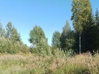  коттедж, 25 м², 9 соток