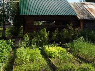  дом, 36 м², 8.8 соток